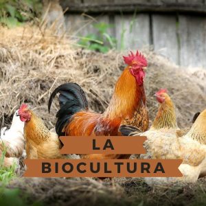 La biocultura revitalitza el primer sector